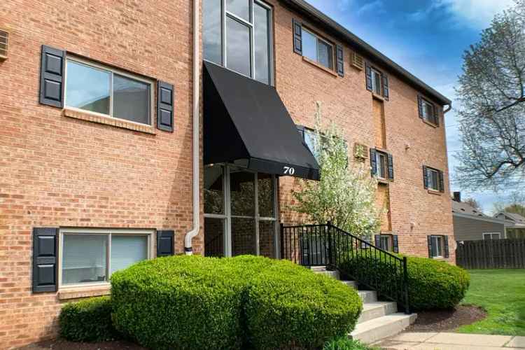 Rent Pet Friendly Apartments in Amelia OH with Modern Comforts