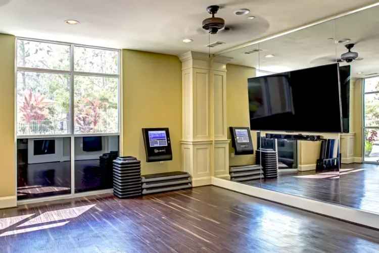 Rent Apartments at Boardwalk Town Center The Woodlands with Luxurious Amenities