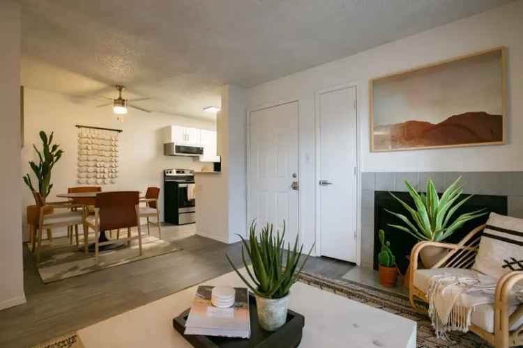 Rent Apartments in Albuquerque with Modern Amenities and Great Location