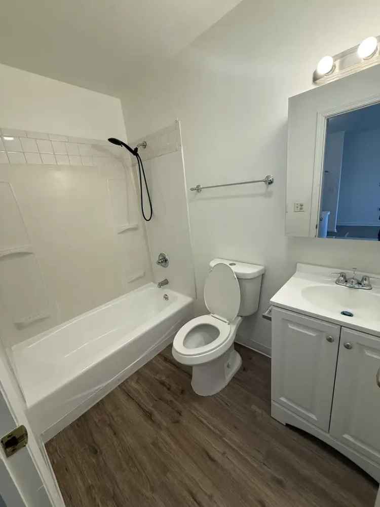 Rent Spacious Apartment Unit in South End with New Appliances