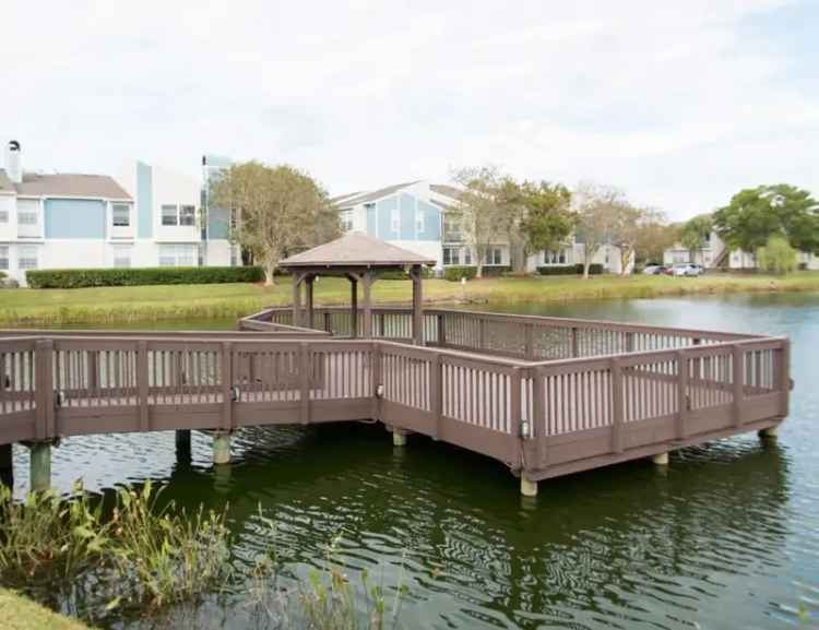 Rent Apartments in Clearwater with Modern Finishes and Resident Perks