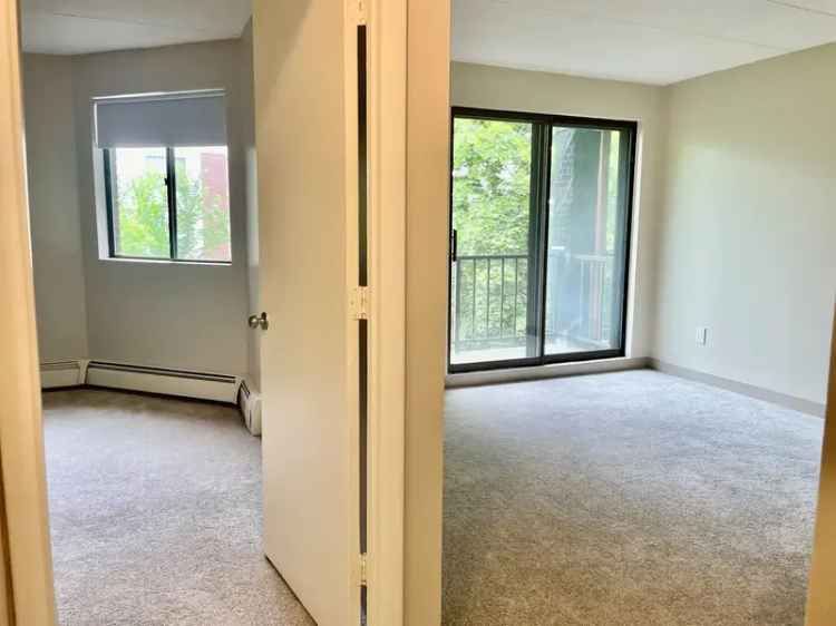 Rent Apartments in Wakefield with Pet Friendly Features and Amenities