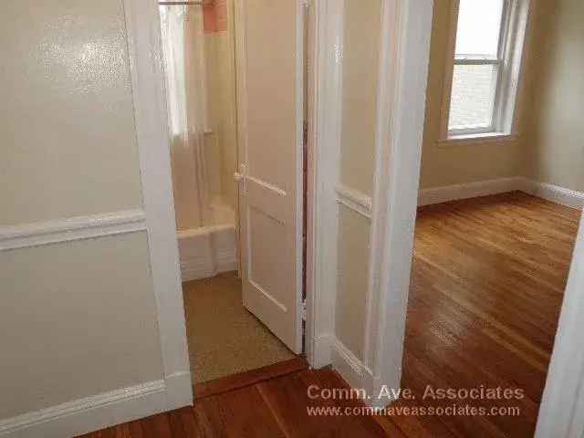 Rent Apartment Unit in Allston Brighton with High Ceilings and Hardwood Floors