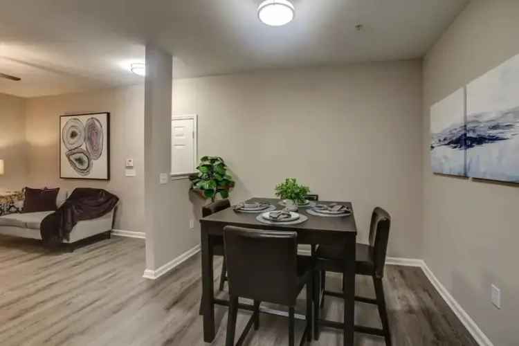 Rent Spacious Apartments Near Transportation and Shopping