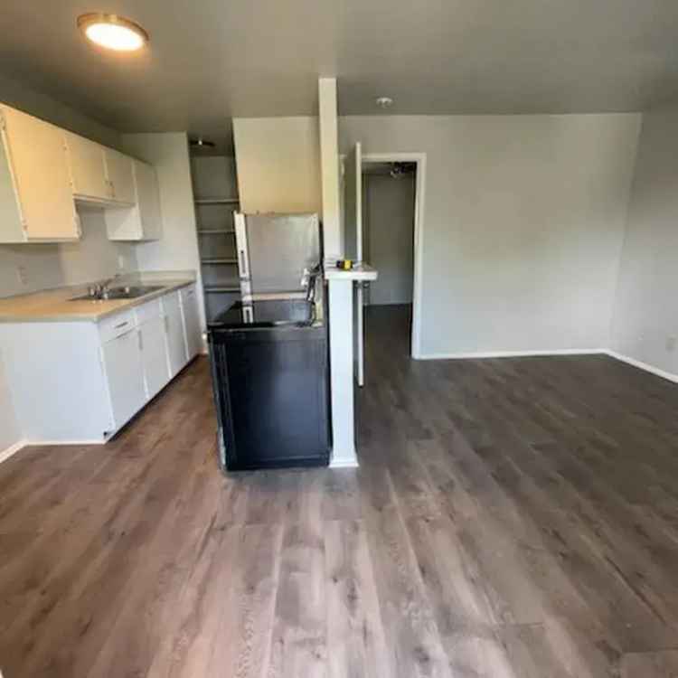 Rent Apartments in San Antonio with Renovated Interiors and Amenities