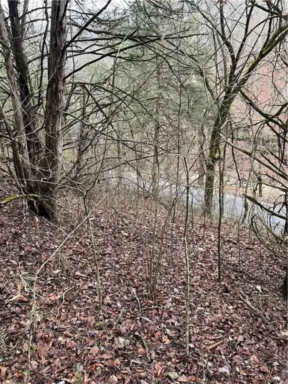 Land For Sale in 148, County Road 317, Eureka Springs, Arkansas