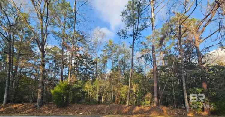 Build Your Dream Home on Serene Wooded Land in Rural Setting