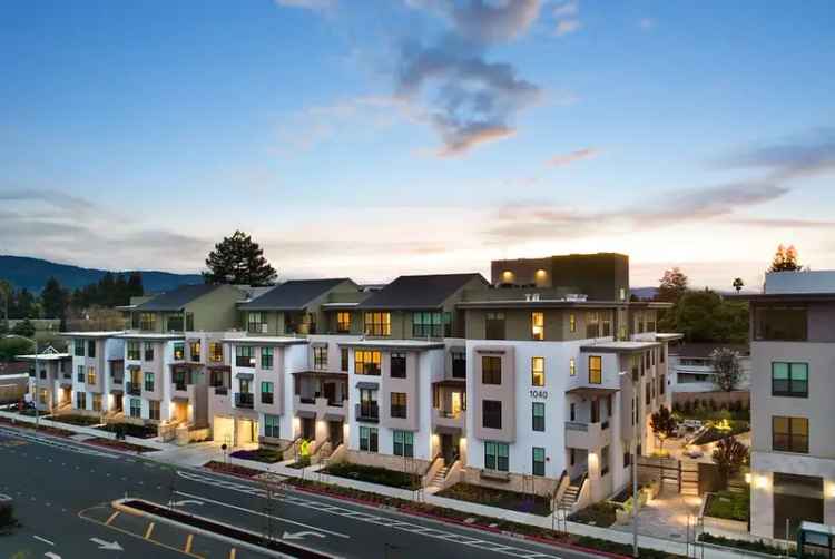 Rent Apartments in Mountain View with Spacious Designs and Modern Amenities