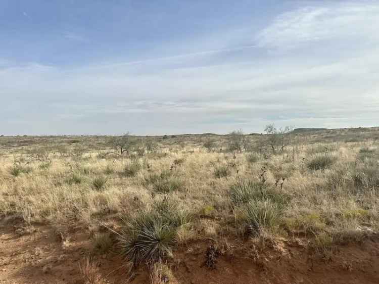 Buy Land in Amarillo TX with 5.45 Acres and No Restrictions