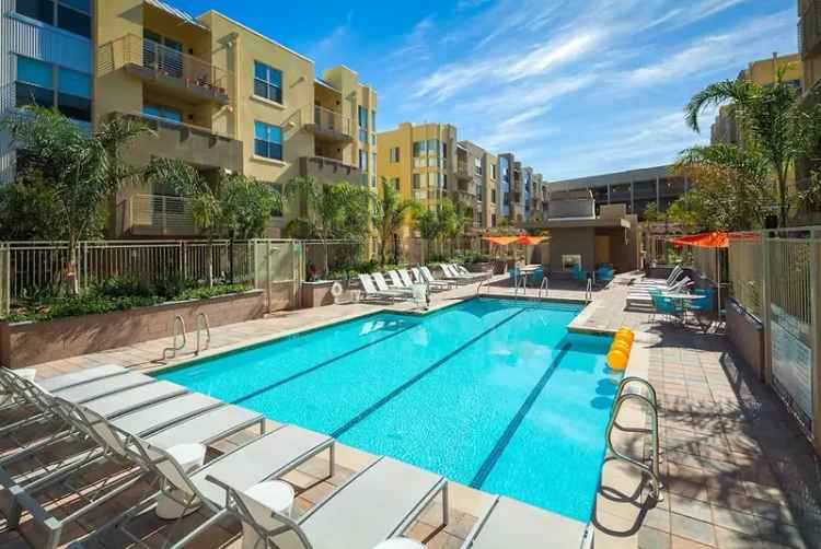 Rent Luxury Apartments in San Jose with Modern Features and Amenities