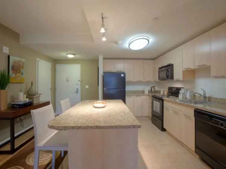 Rent Apartments in Avalon White Plains with World-Class Amenities