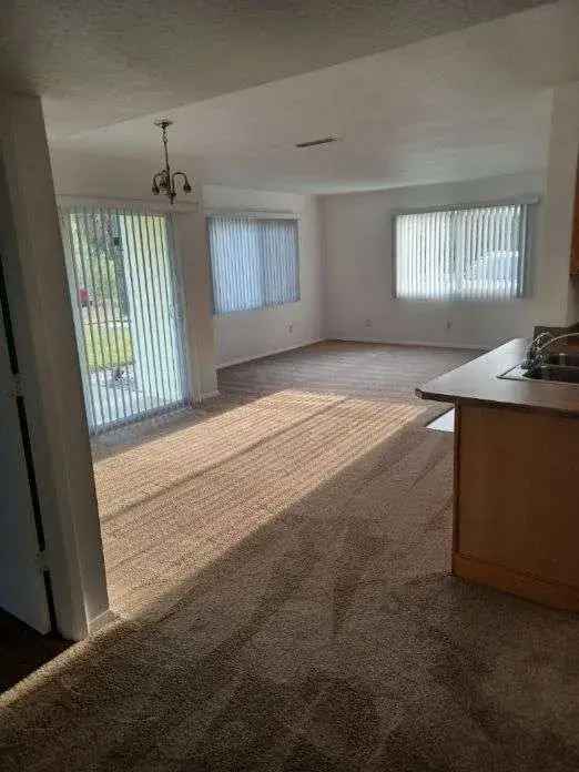 Rent 2 Bedroom Apartment in Ormond Beach with Spacious Layout and Amenities