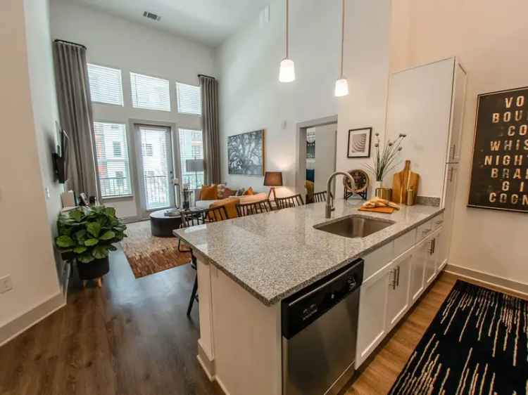 Rent Modern Apartments in NoDa Charlotte with Unique Features