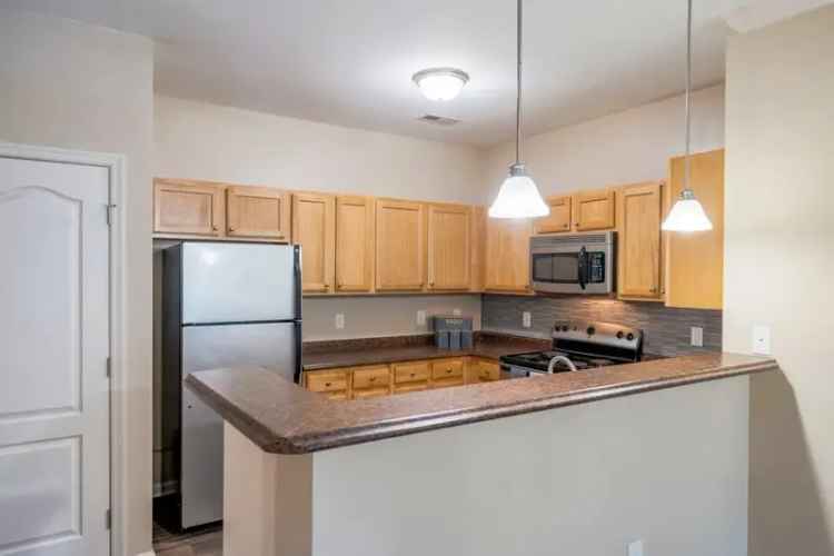 Rent Stylish Apartments with Resort Amenities and Natural Light