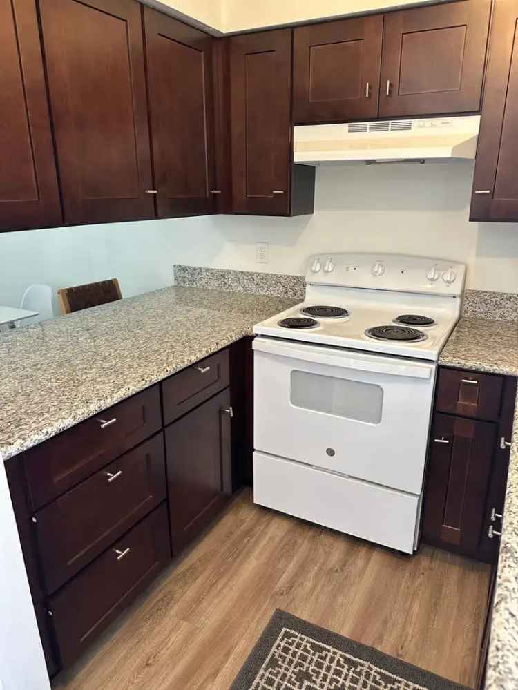 Rent Brand New Remodeled One Bedroom Apartment with Modern Features