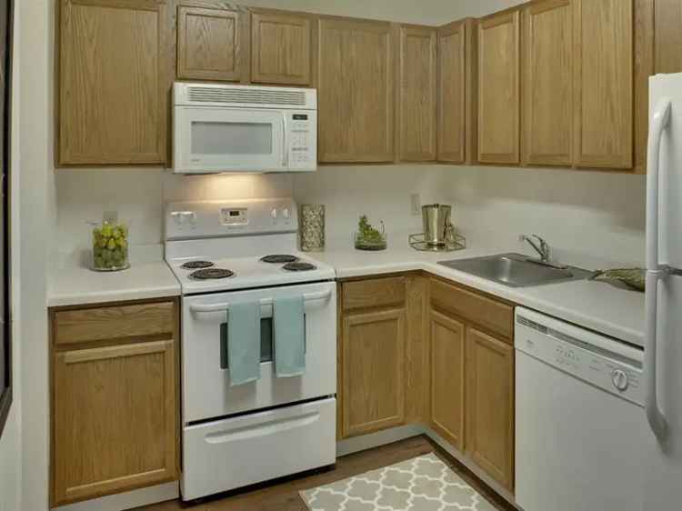 Rent Apartments at Willow Pond Community with Pet-Friendly Features