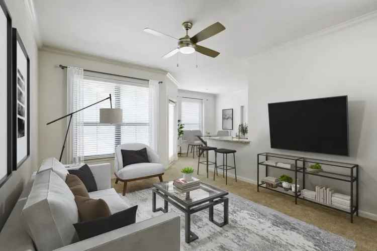 Rent Apartments in Downtown Dallas with Gourmet Kitchens and Amenities