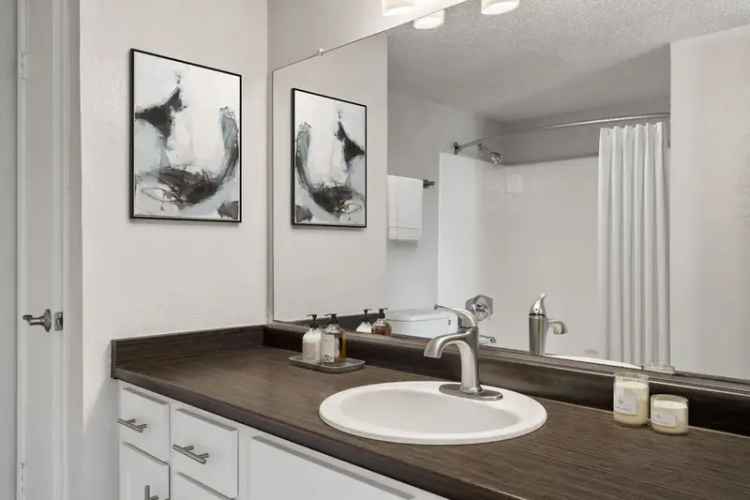 Rent Apartments in Mesa Arizona with Prime Amenities