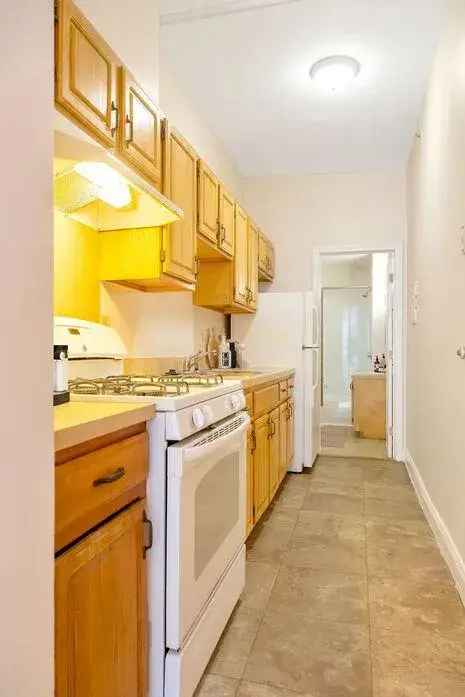 Rent Apartments in Fenway Charming Brownstones with Great Features