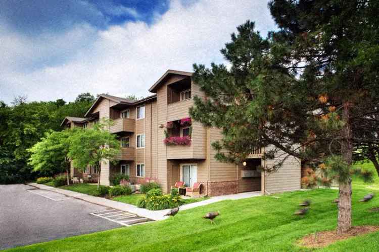 Rent Apartments in Bentley by Broadmoor with Great Amenities