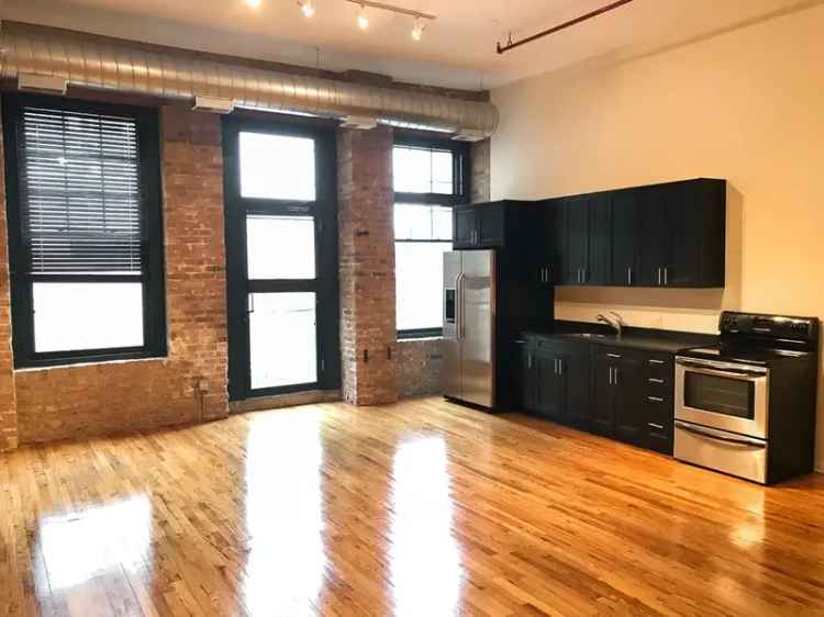 Rent Timber Loft Apartments in West Loop with Natural Light and Modern Amenities