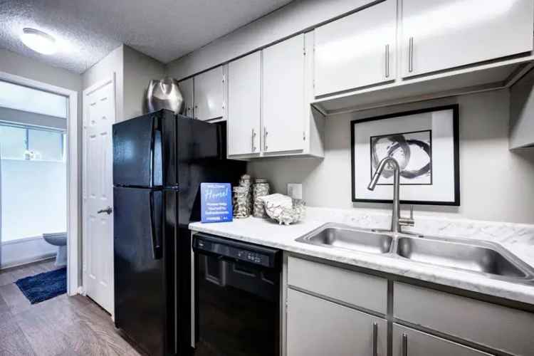 Rent Apartment in Broomfield with Pet-Friendly Features and Amenities