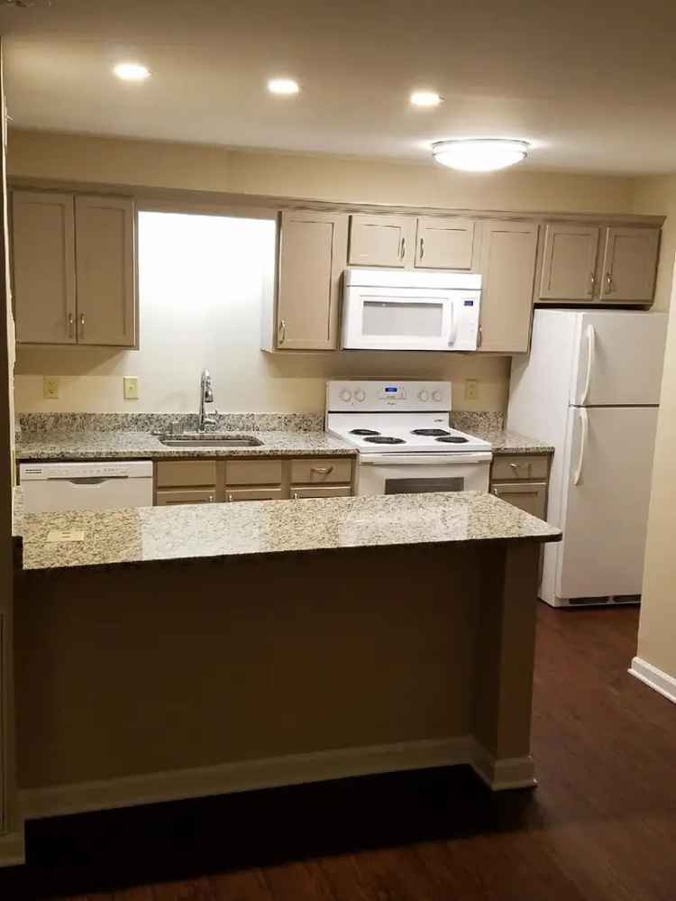 Rent Newly Remodeled 1 Bedroom Apartment Near Avondale Birmingham