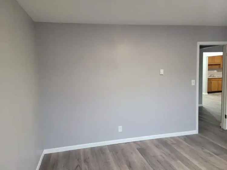 Rent Spacious 2 Bedroom Apartment in Carbondale with Modern Features