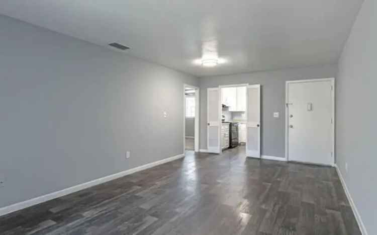 Rent Spacious 2 and 3 Bedroom Apartments in Temple Terrace with Pool