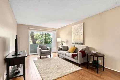 Rent Apartments in Mar Vista with Spacious Studios and One Bedrooms