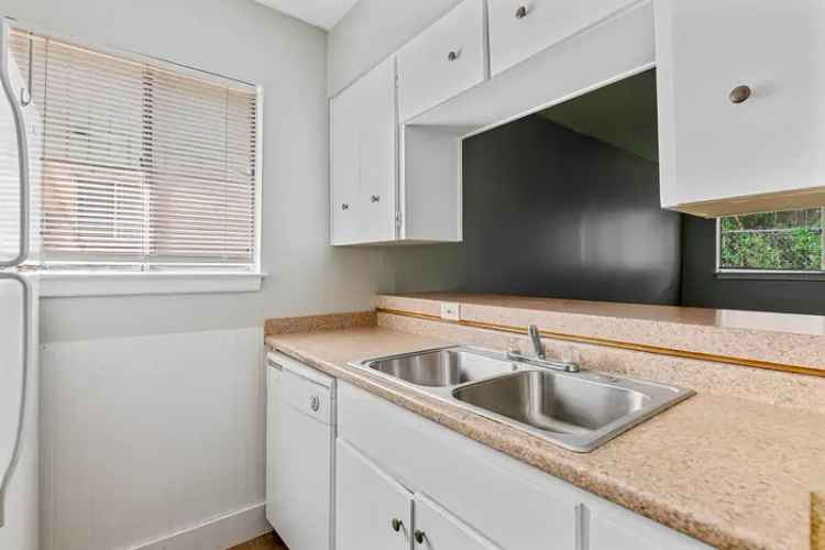 Rent Apartments in Boerne with Modern Layouts and Convenient Amenities