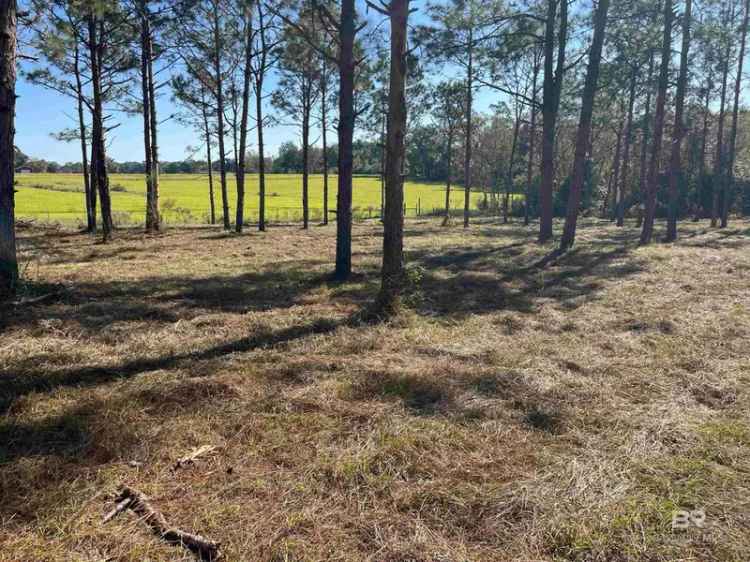 Buy Land in Loxley with Mature Pines and Potential Pond