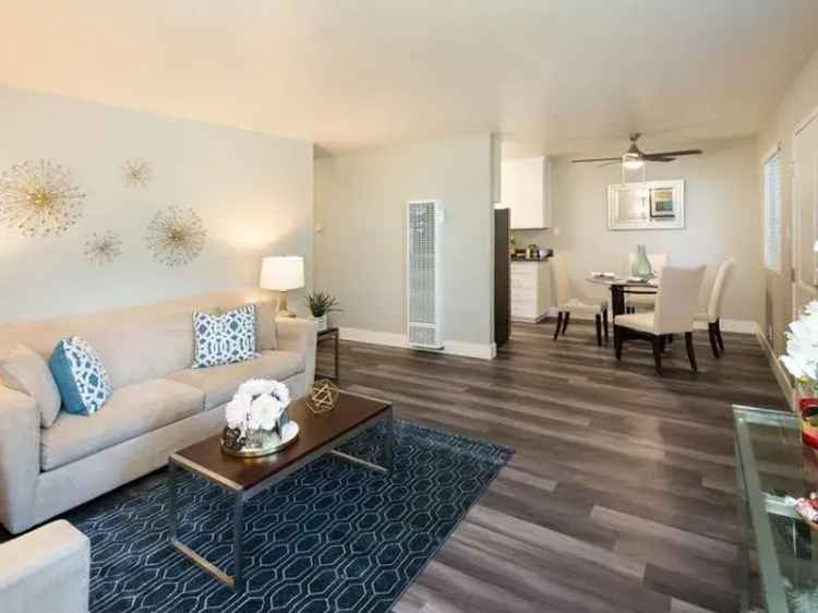 Rent Apartments in Hayward CA with Pet-Friendly Options and Amenities