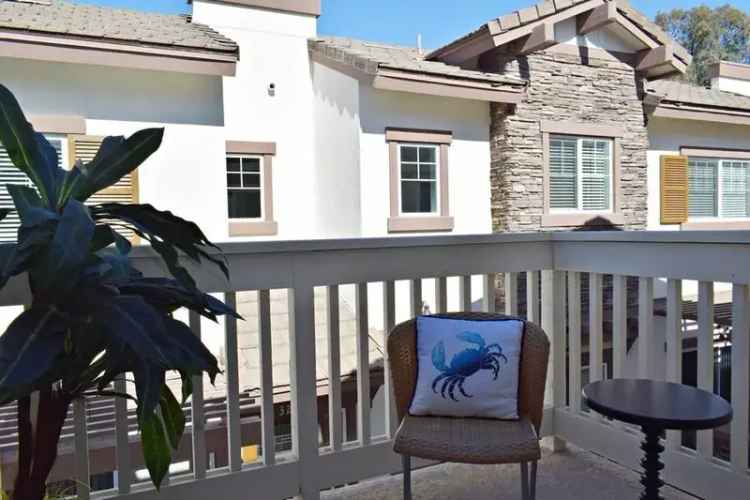 Rent Coastal Living Apartments in San Marcos with Great Amenities