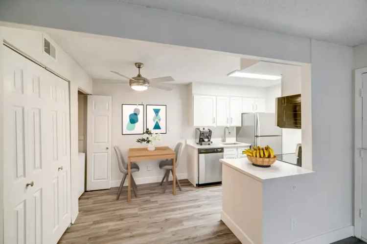 Rent Modern Apartments in Lakewood with Vibrant Community Features