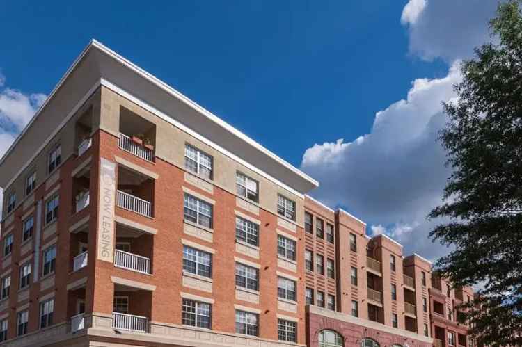 Rent Apartments in Clarendon Arlington VA with Rooftop Courtyard