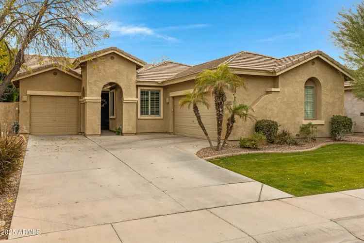 Luxury buy home in Roadrunner with modern features and a backyard paradise