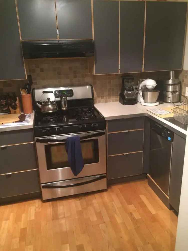 Rent Spacious Apartment in Columbia Heights with Backyard and Modern Upgrades