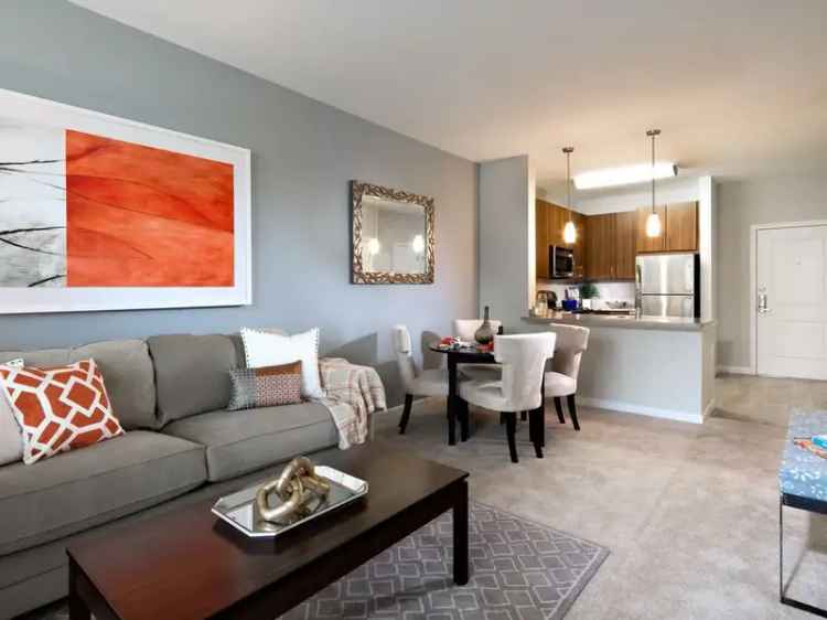 Rent Contemporary Apartments in Framingham with Modern Amenities