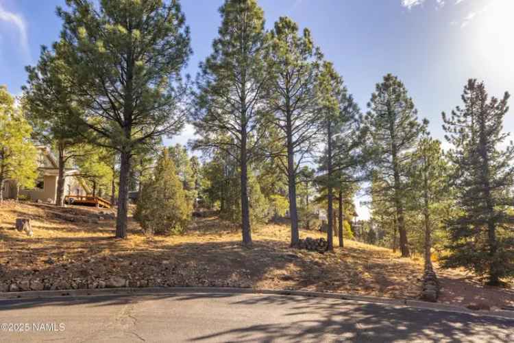 Land For Sale in 4423, East Moonshadow Lane, Flagstaff, Arizona