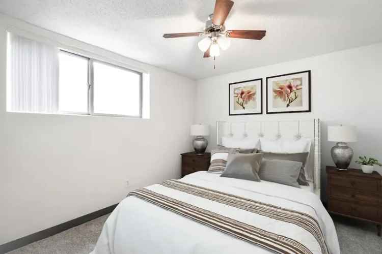 Rent Apartments in Northeast Minneapolis with Great Amenities