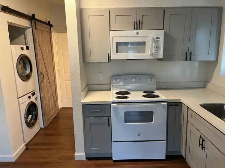 Rent Updated Studio Apartment in South Lake Union with Modern Appliances