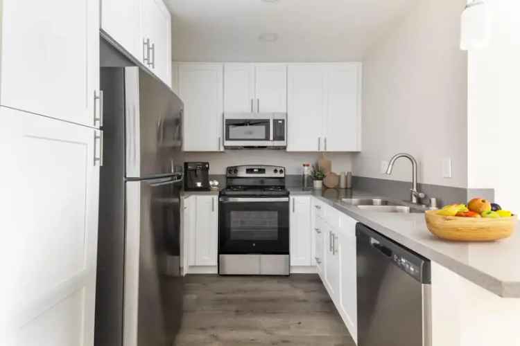 Rent Apartments in Mission Valley with Modern Amenities and Pet Friendly