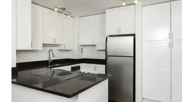 Rent Apartments with Studio and 1 or 2 Bedrooms at Skye at Belltown