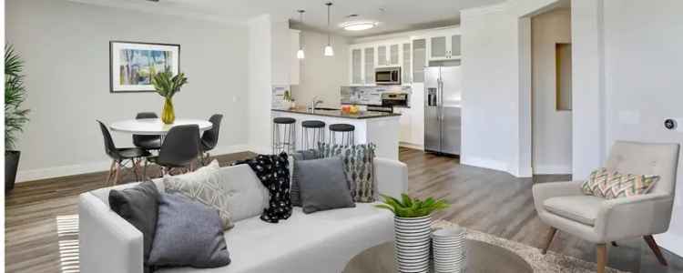 Rent Apartments in San Diego with Modern Amenities and Great Location