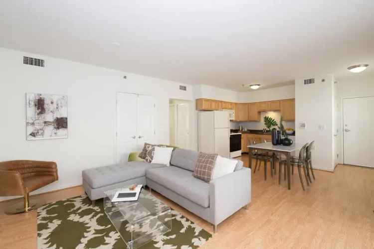 Rent Northern Liberties Apartments with Modern Amenities and Juliet Balconies