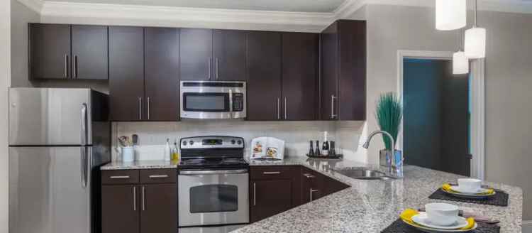 Rent Apartment in Smyrna with Luxury Amenities and Modern Features