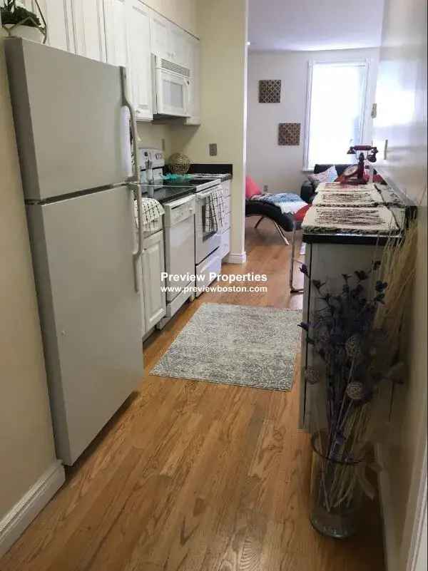 Rent 1 Bedroom Apartment Back Bay with Premium Features