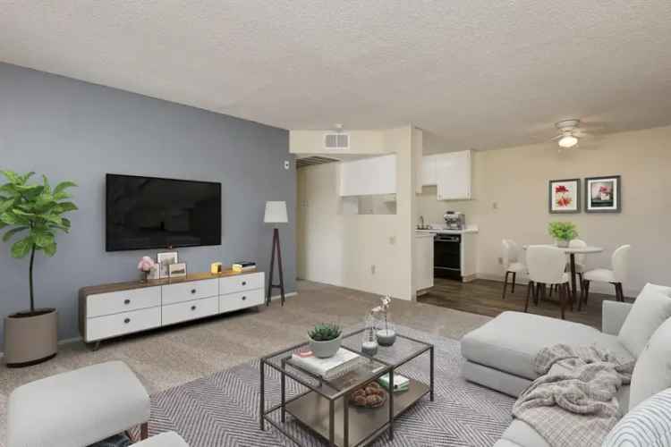 Rent Apartments in Escondido with Spacious Layouts and Exciting Amenities