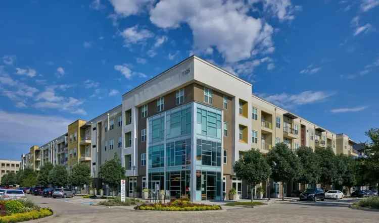 Rent Luxury Apartment near Cityline Dallas with Modern Features